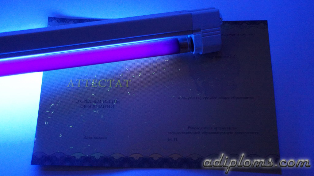 Аттестат 11 классов 2014-2024 Фото