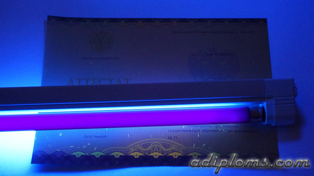 Аттестат 11 классов 2014-2024 Фото