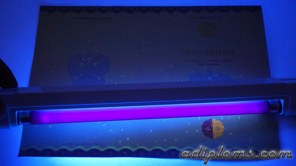 Аттестат 11 классов 2014-2024 Фото