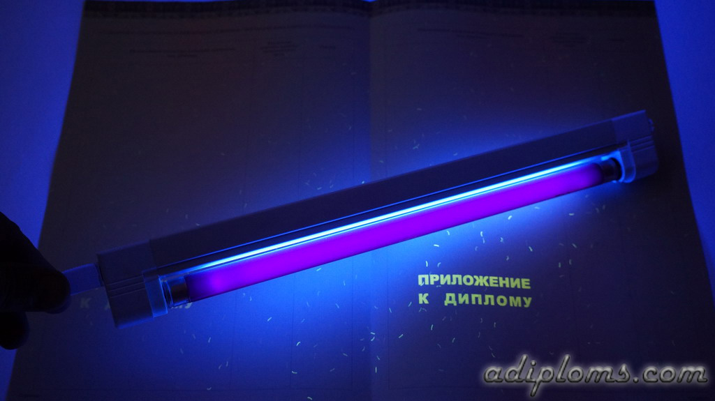 Диплом бакалавра 2014-2024 Фото