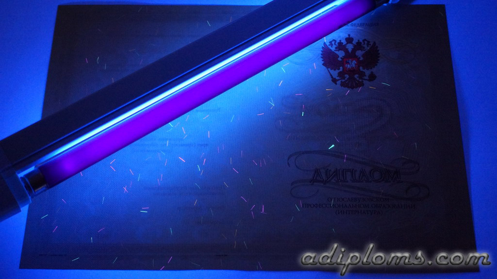 Интернатура Фото Интернатура Фото