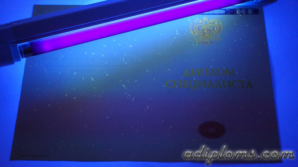 Диплом специалиста 2014-2024 Фото Диплом специалиста 2014-2024 Фото