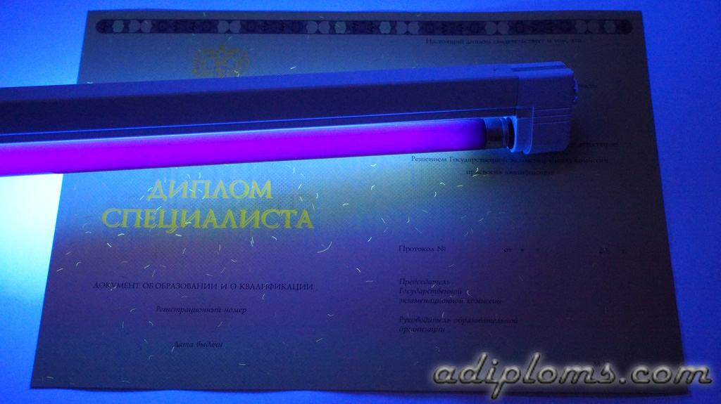 Диплом специалиста 2014-2024 Фото Диплом специалиста 2014-2024 Фото