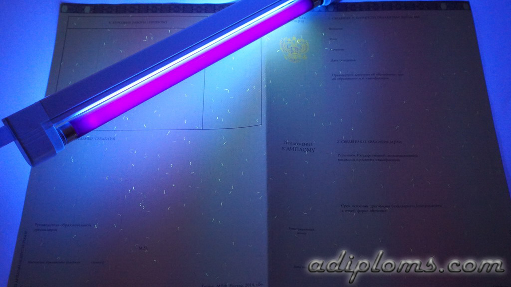 Диплом специалиста 2014-2024 Фото Диплом специалиста 2014-2024 Фото