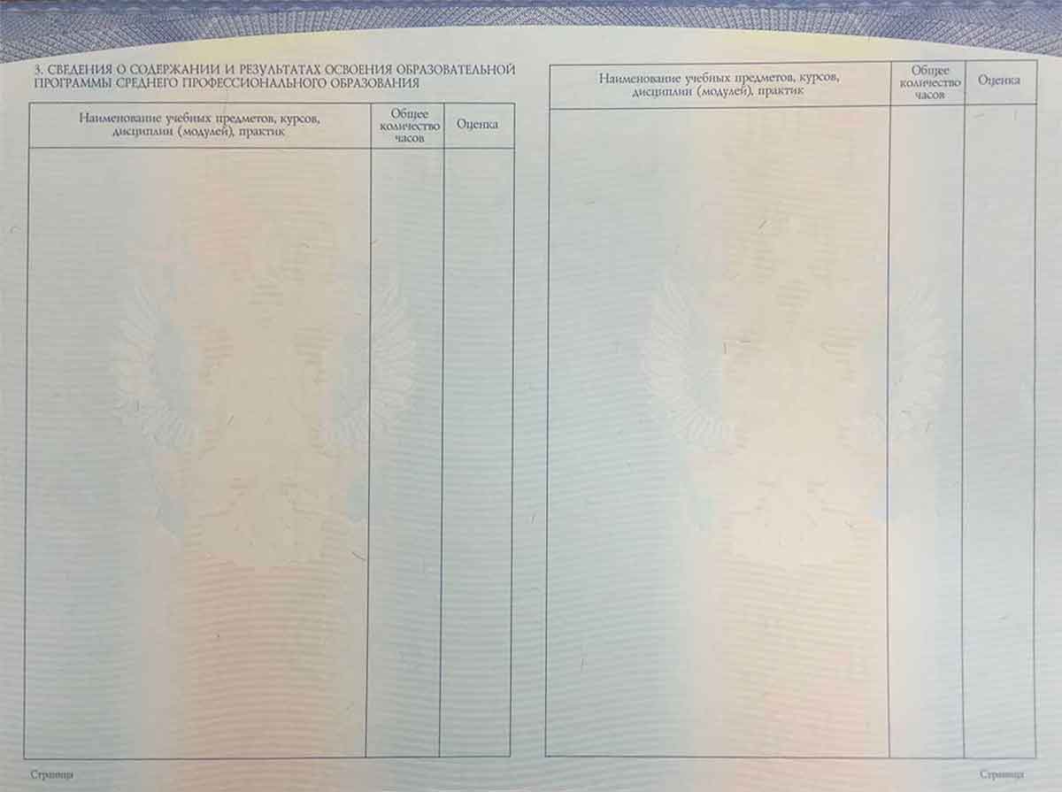 Диплом техникума, колледжа 2014-2024 Фото