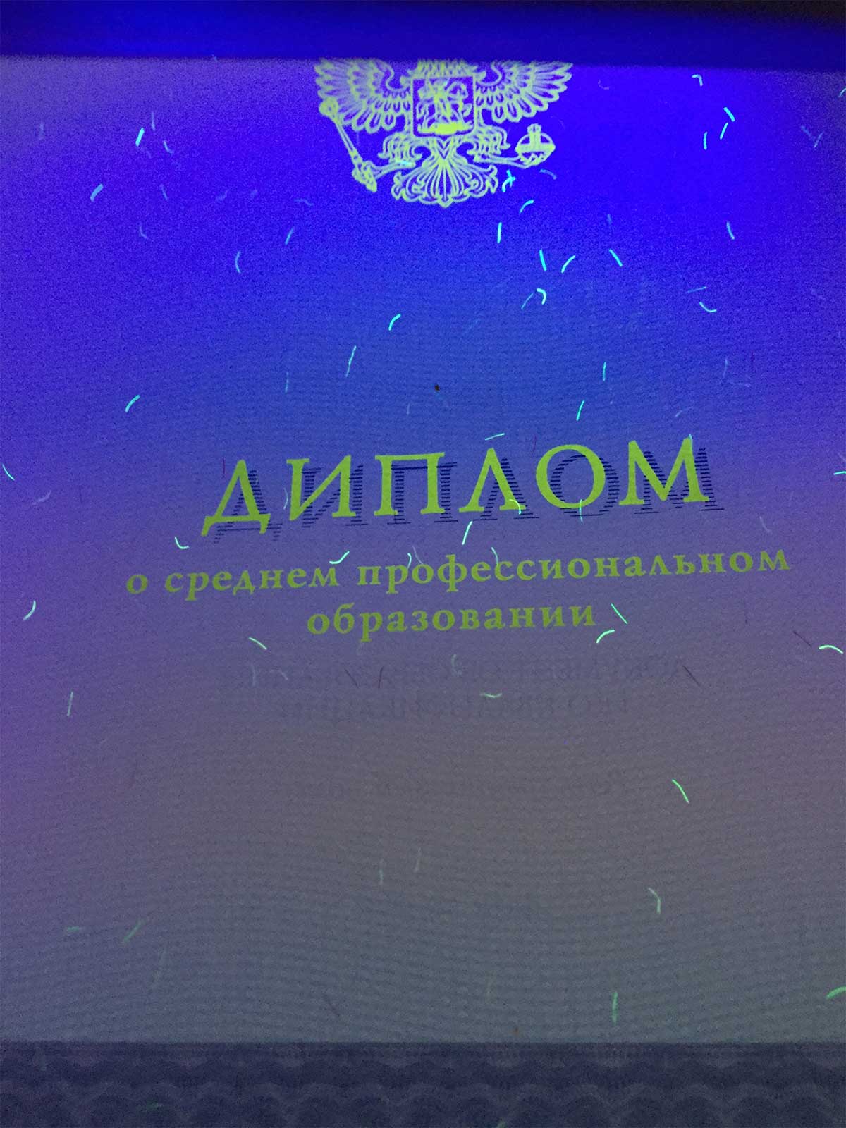 Диплом техникума, колледжа 2014-2024 Фото